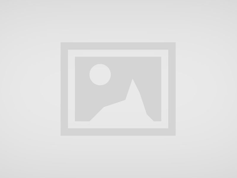 Lorem ipsum dolor sit amet consectetur. Aenean faucibus tortor ac elementum